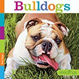 Bulldogs (Seedlings)