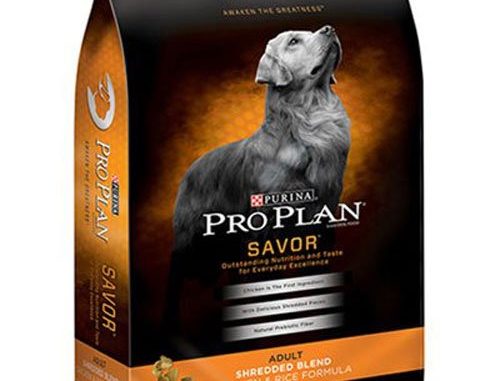 Purina Pro Plan Savor Adult Shredded Blend Chicken & Rice Formula Dog ...