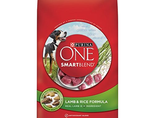 Purina ONE SmartBlend Lamb & Rice Formula Adult Dry Dog ...